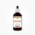 Mucuna Pruriens Seed Extract – Mucuna Pruriens Seed Extract by Hawaii Pharm is a concentrated liquid tincture made from mucu…