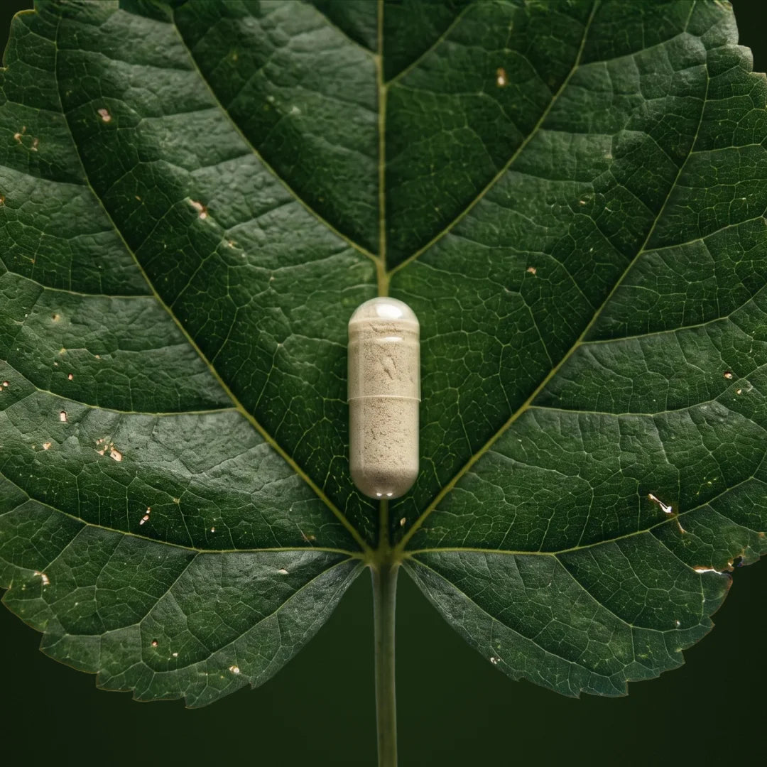 A single beige capsule pill rests centered on a large green leaf with visible veins and natural texture.